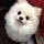 Chia-Yin Lin