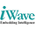 iWave Systems