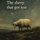 The Sheep That Got Lost