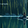 Ripples Of Wisdom