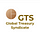 CBDC GTS (Global Treasury Syndicate)