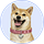 DogeGF