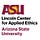 Lincoln Center for Applied Ethics