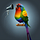 Sarcastic Ranting Rainbow Bird