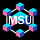 Blockchain MSU