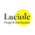 Luciole : design et non-humains