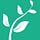 Growing Green Software