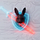 Rabbit Knight