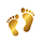 Wisdom Walking On Two Feet