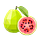 Guava Tech