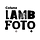Coluna Lambfoto