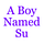 A Boy Named Su
