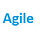 Agile Koçlar