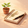 Summer's Notebook