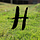Hedonics