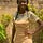 Roseline Adelakun