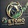 Master eToro Copy Trading
