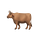 Oxen Herd