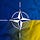 NATO For Ukraine