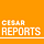 CESAR Reports