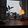 studio6117