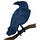 Blu Raven