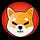 My Shiba Inu