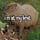 Capybara Security & @TheForgeOfficial AGI