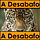 A Desabafo