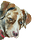 The CogDog