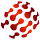 SANeForce
