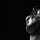 Erotic Stories, Prose & Poetry