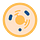 TheOpenScientist