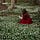 Sufia Jamshaid🍁
