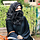 Usfa Kareem