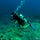 Scuba Diving