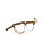 LGWare, The Black Lens