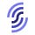 SolanaFM