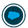 Salesforce Big Object