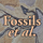 Fossils et al.