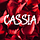 Cassia Writes