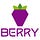 Berry Data Official
