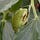 Permaculture in Motion