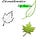 Theoretical and Mathematical Biology