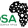 Data Science Africa (DSA) Publication