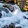 Roaring Rivers