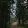 Quiet Assertions