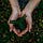 Environmental Action 2021