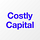 Costly Capital