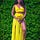Lyvonne Briggs